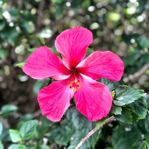 Meet your Posher, Becky